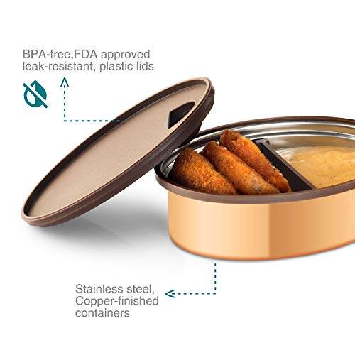 Tyffyn Copper-Finished Stainless Steel Lunch Box, 600 ml, 2 Containers