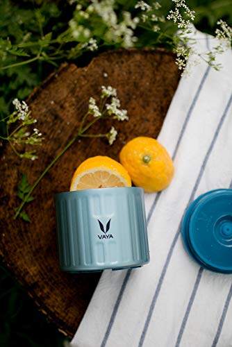 保鲜盒 300 毫升 - 真空隔热不锈钢餐盒、沙拉盒、餐盒、便携式午餐盒、水果盒，1 x 300 毫升