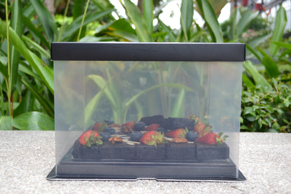 Brownies Tandatangan Sasha