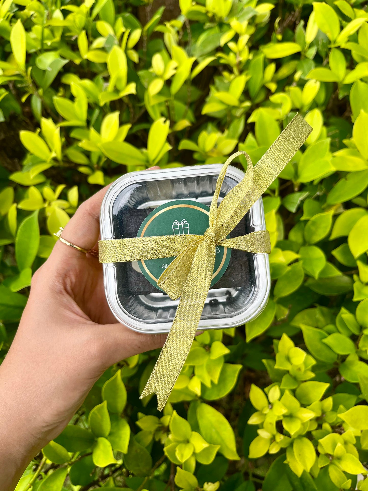 Brownies Tandatangan Sasha