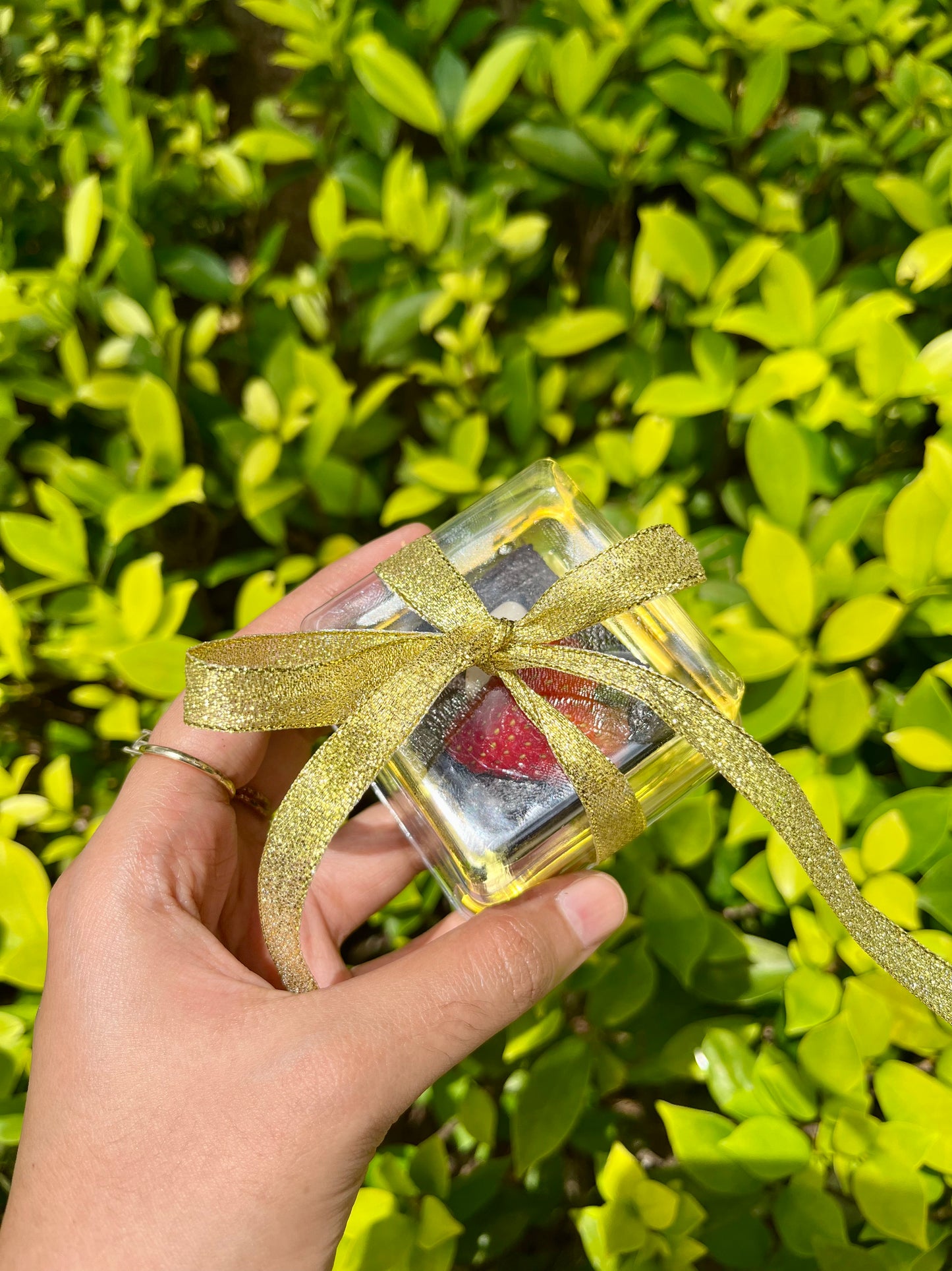 Brownies Tandatangan Sasha