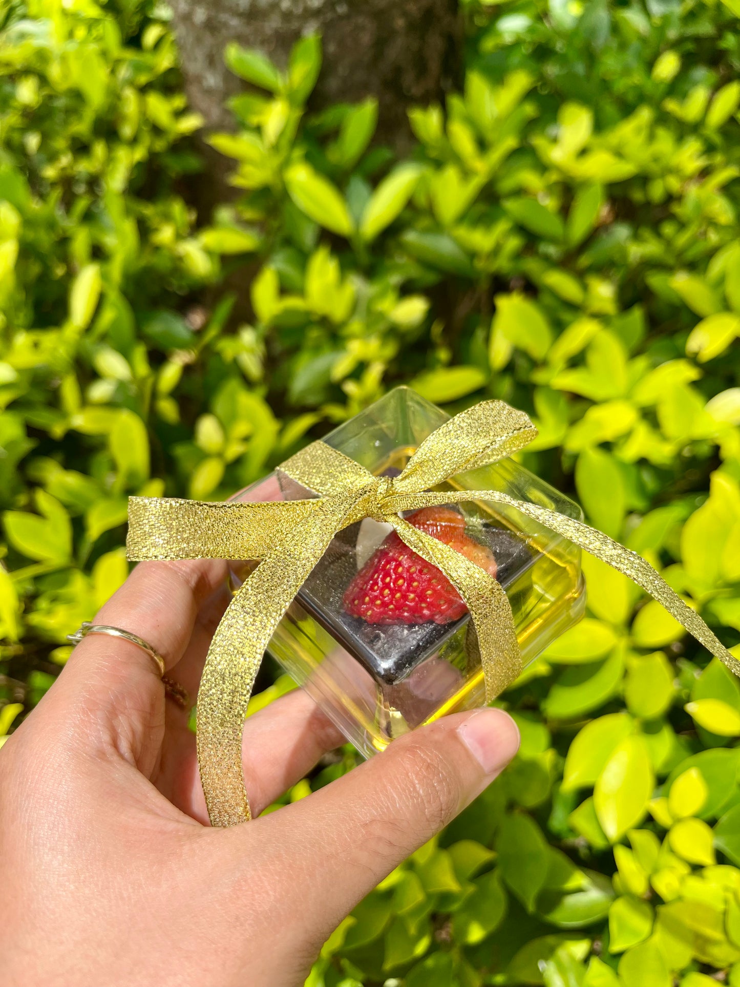 Brownies Tandatangan Sasha