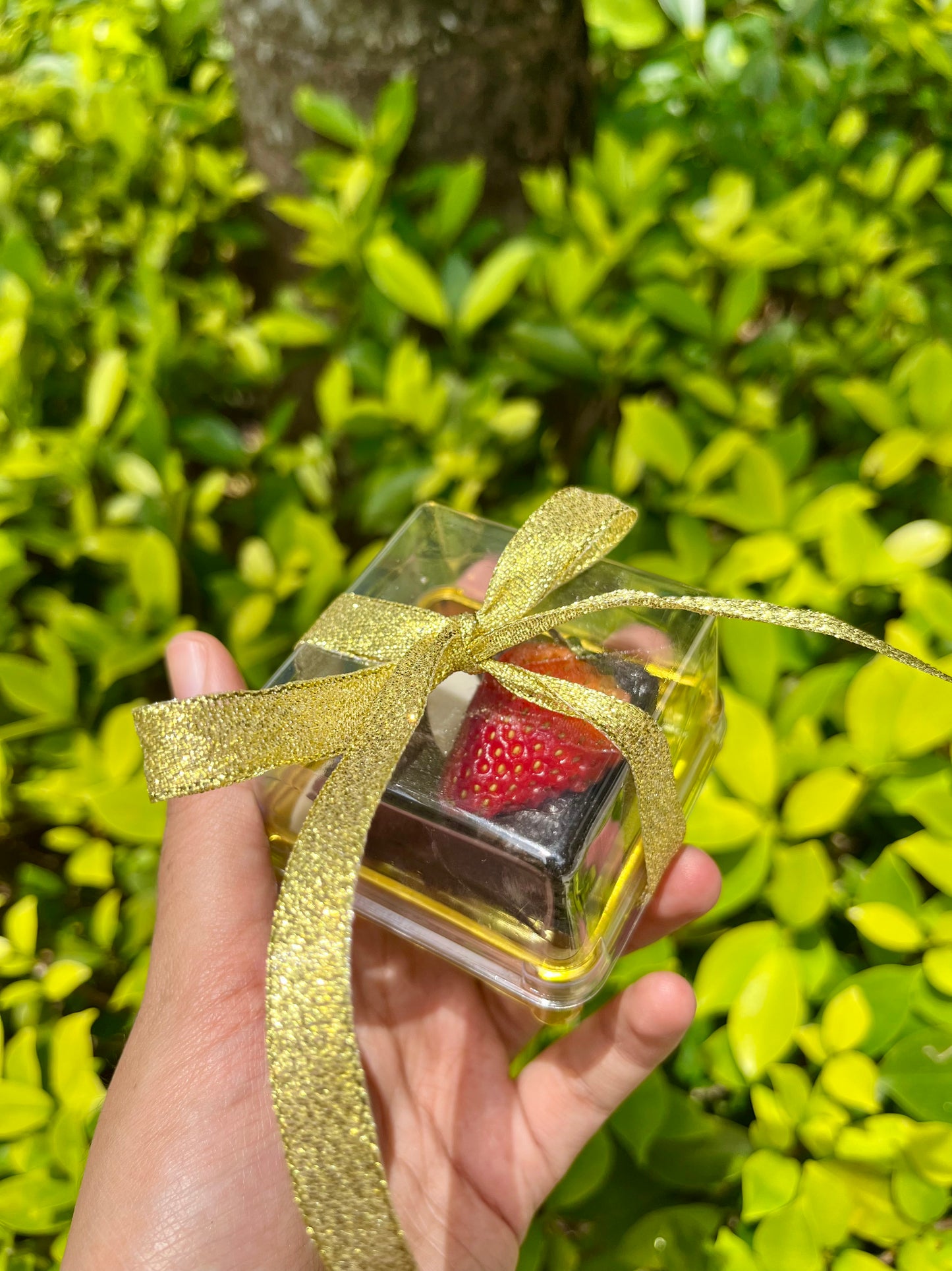 Brownies Tandatangan Sasha