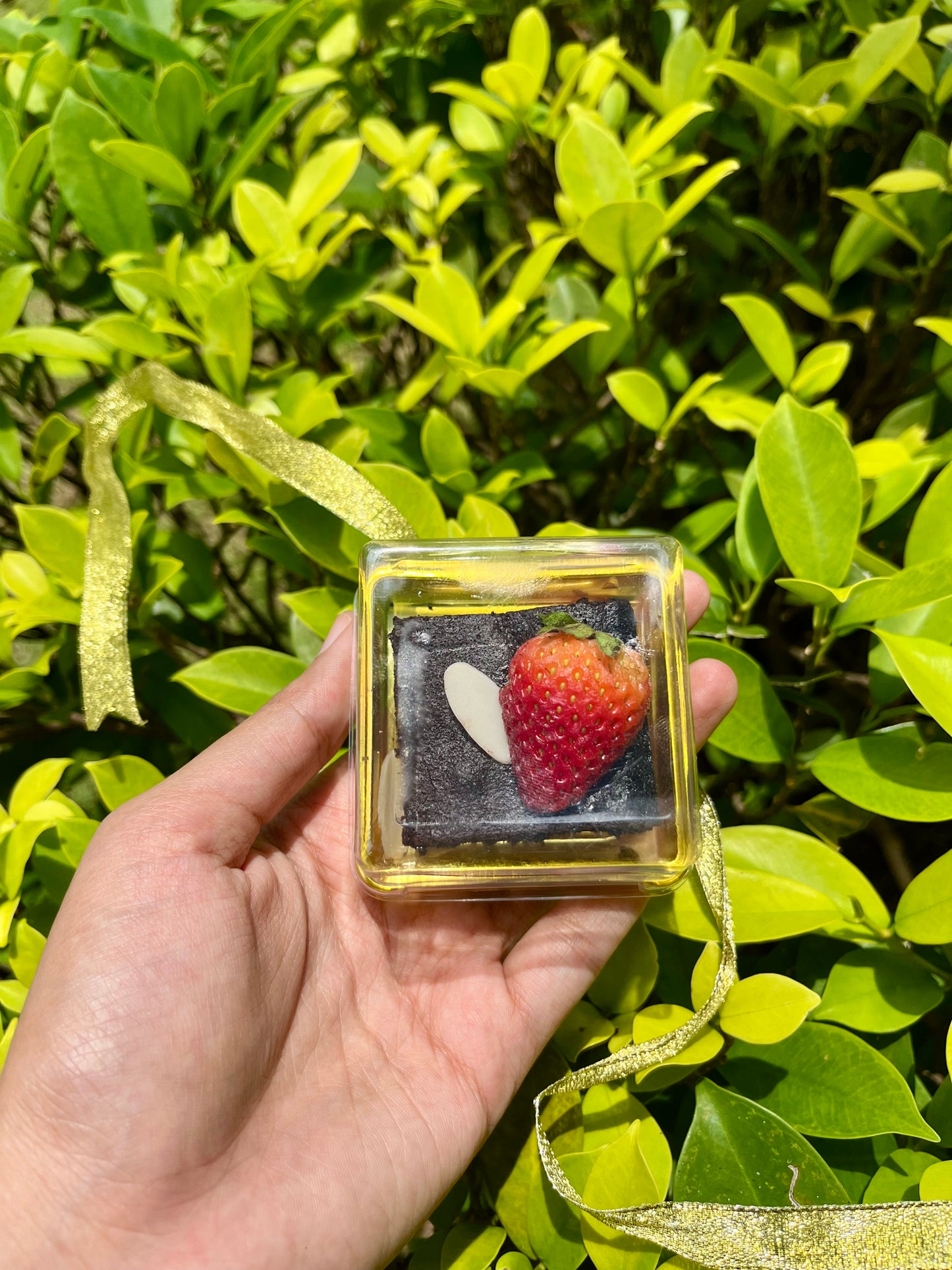 Brownies Tandatangan Sasha