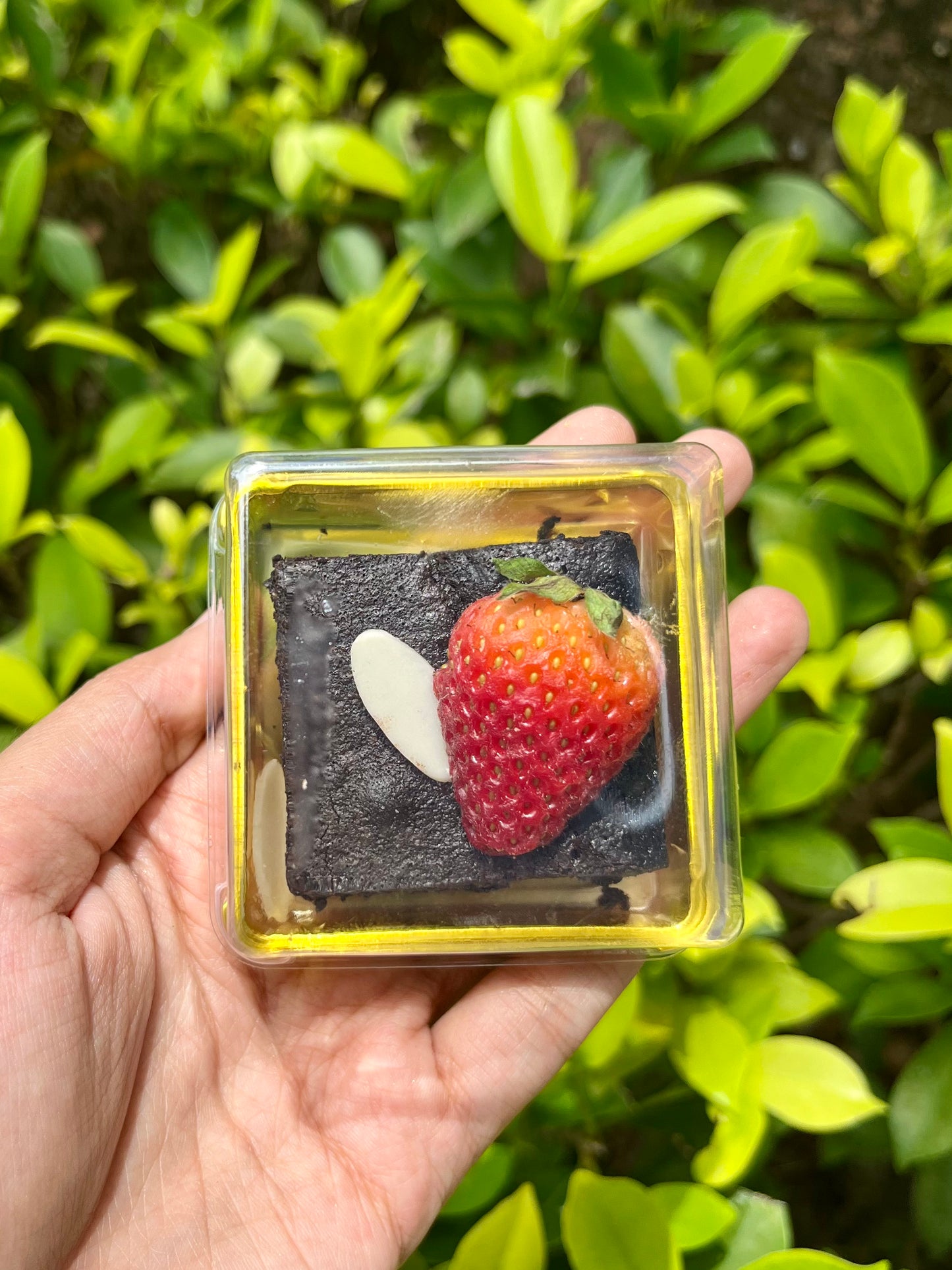 Brownies Tandatangan Sasha