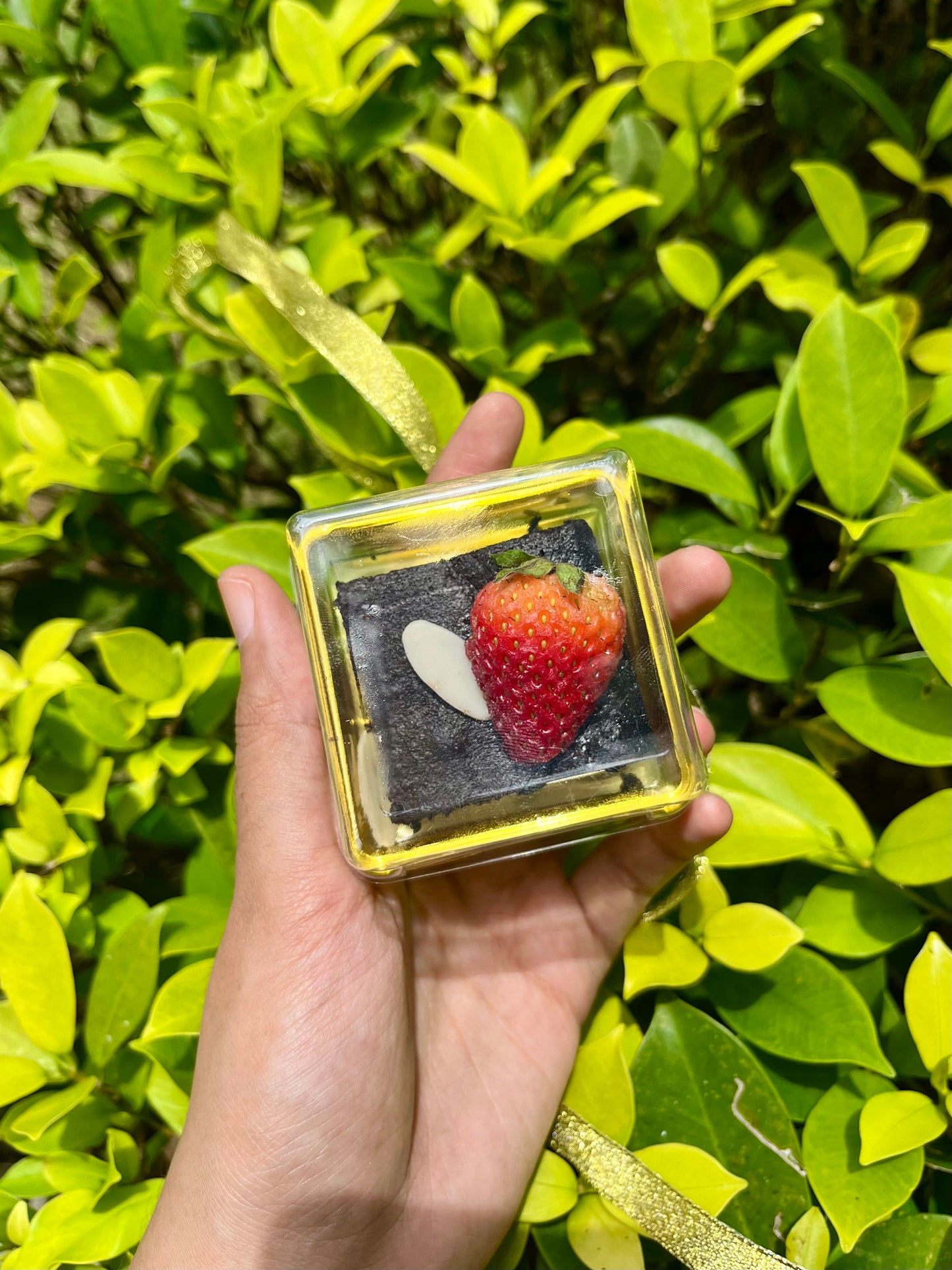 Brownies Tandatangan Sasha