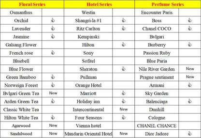 100ML Hotel Room Fragrance Diffuser for Home Air Freshener Scenting Device Air Purifier Humidifier Car Essential Oil Refil