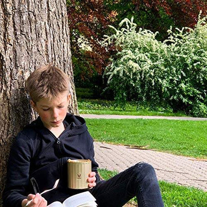 Simpan 500 ml - Bekas Makanan Keluli Tahan Karat Bertebat Vakum, Kotak Salad, Pembawa Makanan, Kotak Makan Tengahari Mudah Alih, Kotak Buah, 1 x 500 ml 