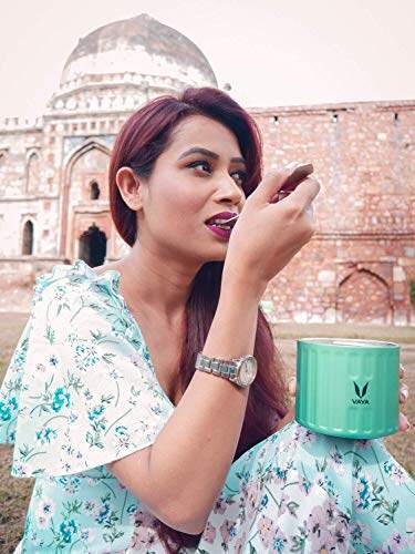 保鲜盒 300 毫升 - 真空隔热不锈钢餐盒、沙拉盒、餐盒、便携式午餐盒、水果盒，1 x 300 毫升