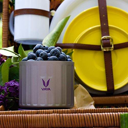 保鲜盒 300 毫升 - 真空隔热不锈钢餐盒、沙拉盒、餐盒、便携式午餐盒、水果盒，1 x 300 毫升