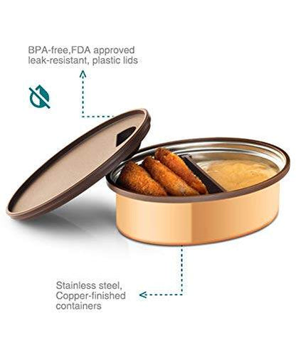 Tyffyn Copper-Finished Stainless Steel Lunch Box, 600 ml, 2 Containers