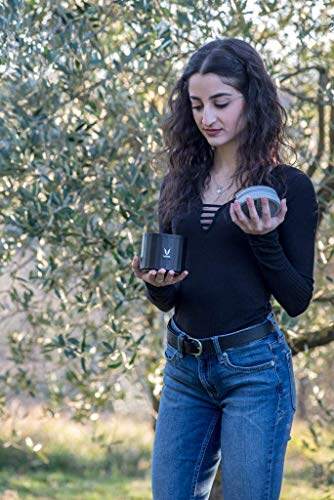 保鲜盒 300 毫升 - 真空隔热不锈钢餐盒、沙拉盒、餐盒、便携式午餐盒、水果盒，1 x 300 毫升